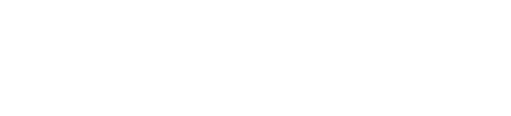 Styled Boutique logo